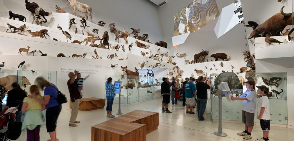 Melbourne Museum