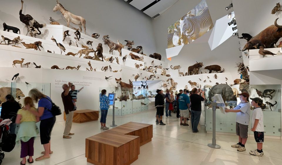 Melbourne Museum